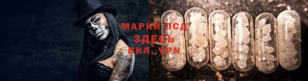 соль ск Осинники