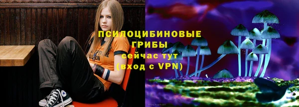 гашиш Осташков