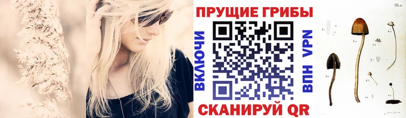 сайты даркнета формула Ардатов Галлюциногенные грибы мицелий